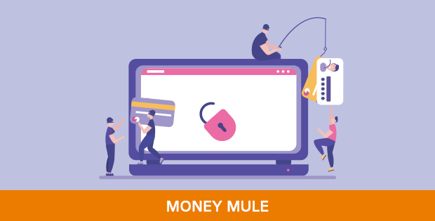 money-mule